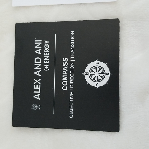 Alex and Ani Compass bracelet with box - Picture 11 of 16